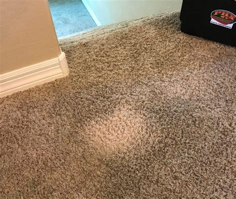 Does Bleach Stain Carpet