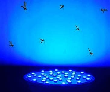 Does Blue Led Lights Attract Bugs