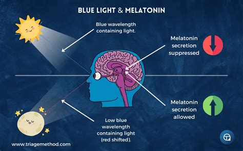 Does Blue Light Block Melatonin