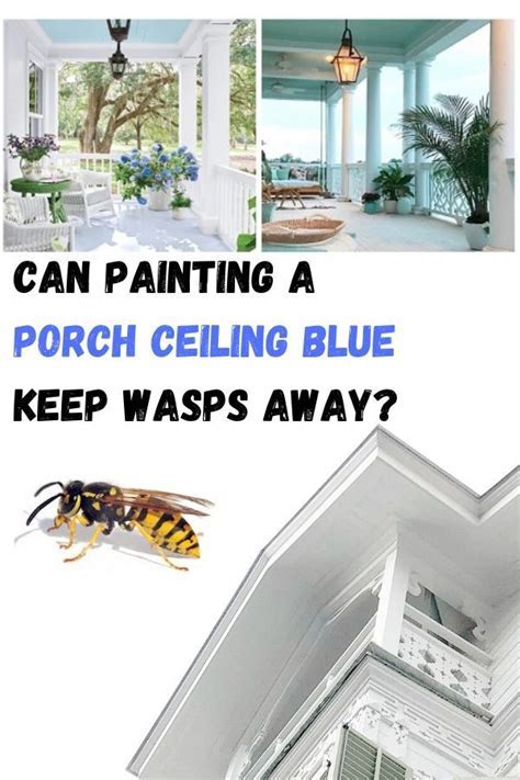 Does Blue Paint Repel Wasps