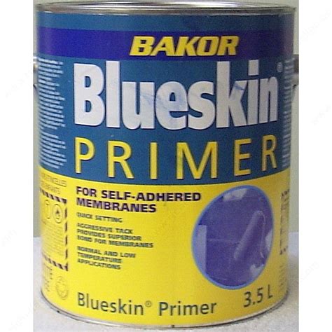 Does Blueskin Need Primer
