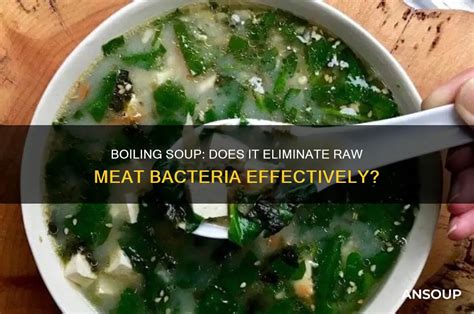 Does Boiling Chicken Soup Kill Bacteria