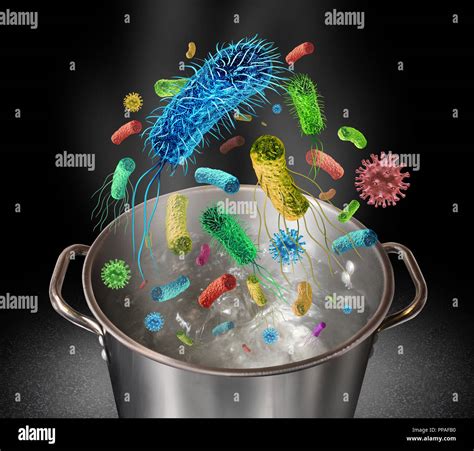 Does Boiling Water Kill Pathogens