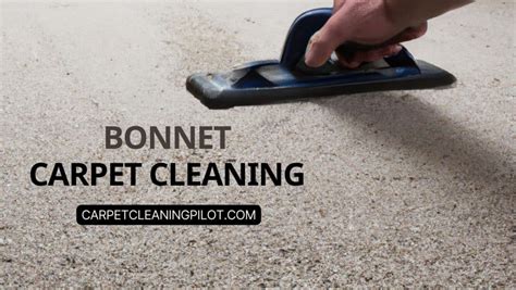 Does Bonnet Carpet Cleaning Work