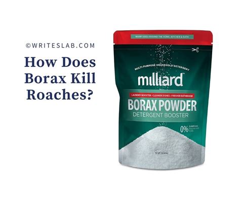 does borax work on roaches