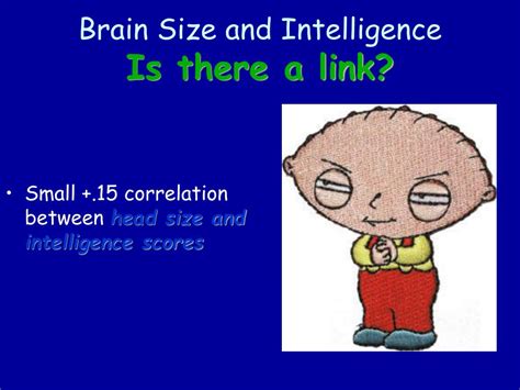 does brain size affect intelligence in humans