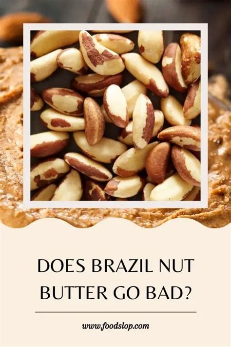 Does Brazil Nuts Go Bad