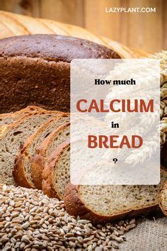 Is Calcium Propionate Vegan? I Am Going Vegan