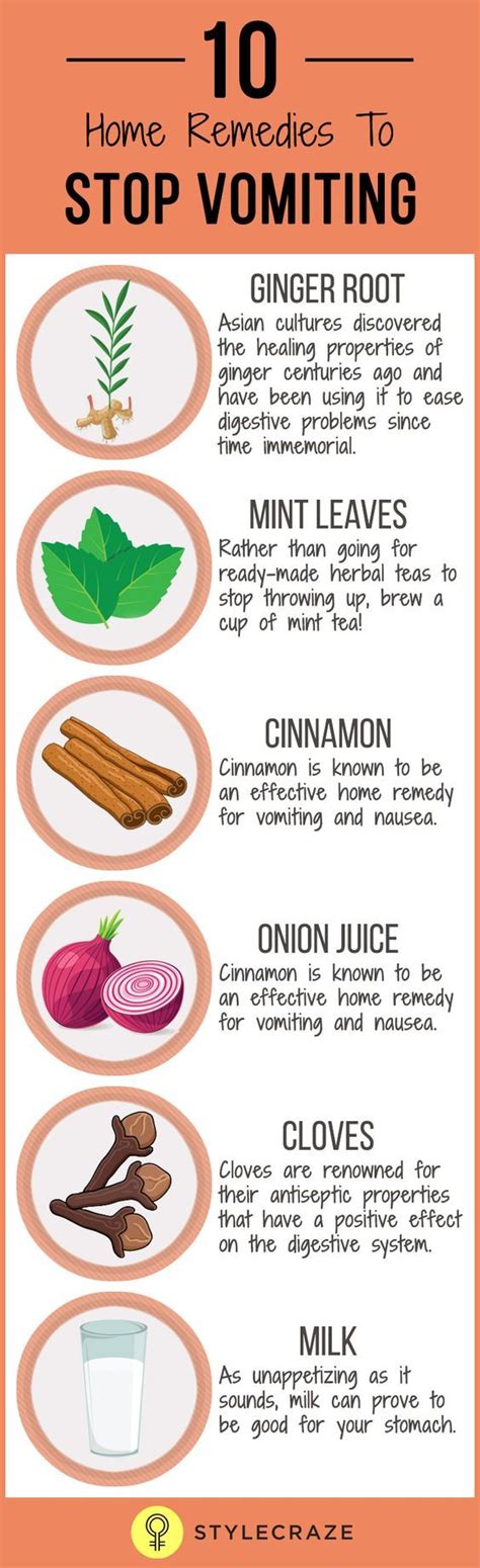 Does Bread Stop Vomiting