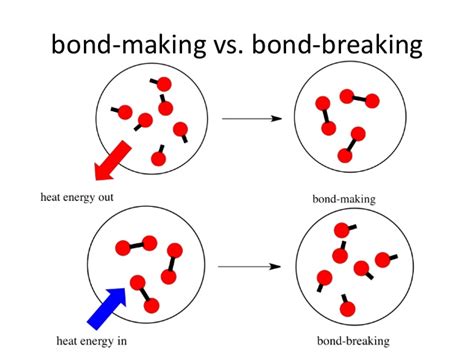 Unveiling the Energy Secret: Does Breaking Bonds Release a Powerhouse?