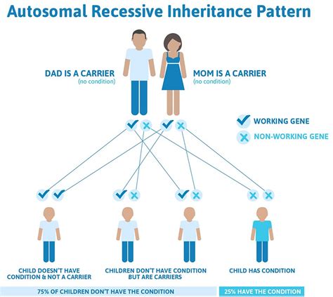 does c have inheritance
