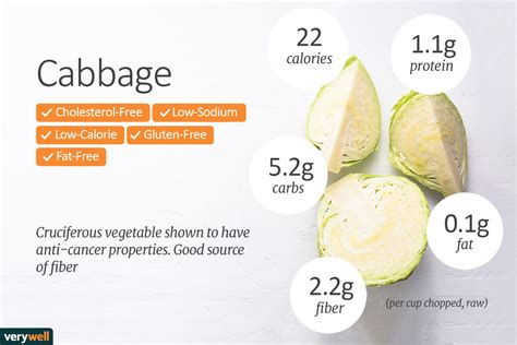 Does Cabbage Have Calories