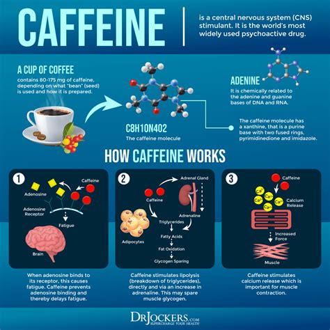 Does Caffeine Make You Feel Warm