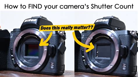 does camera shutter count matter