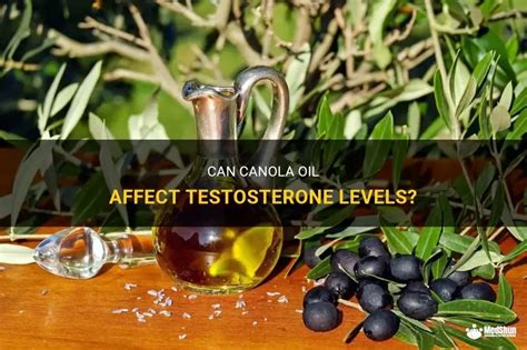Does Canola Oil Affect Testosterone