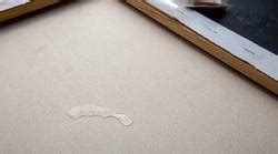 Does Canvas Shrink When Wet