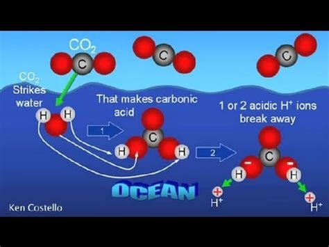 Does Carbon Contain Water