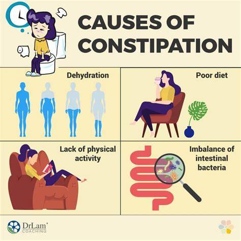 Does Carbs Make You Constipated
