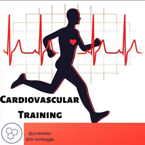 does cardio help cognitive function