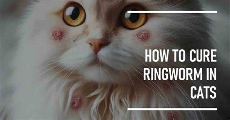 Does Cat Dewormer Kill Ringworm