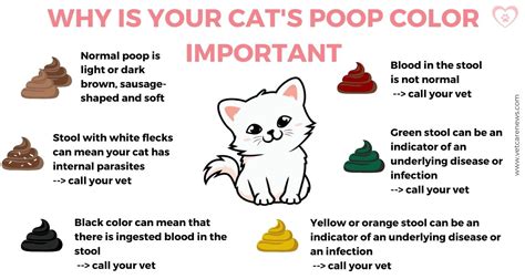 Does Cat Poop Burn