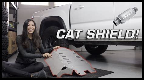Does Cat Shield Work