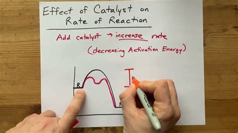 Does Catalyst Affect Rate Law
