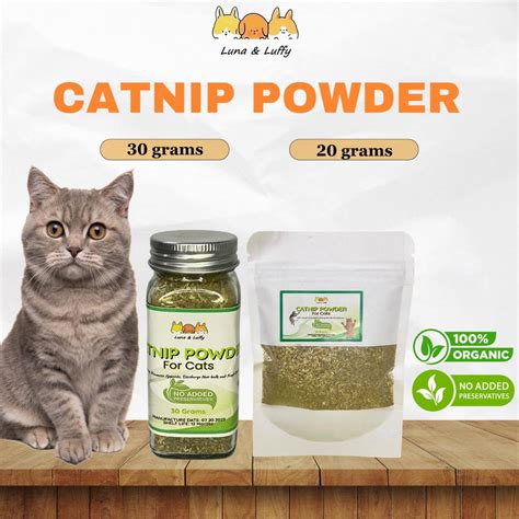 Does Catnip Help With Hairballs