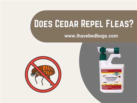 does cedar chips repel fleas