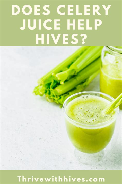 Does Celery Have Histamine