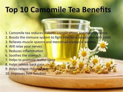 Does Chamomile Help With Weight Loss