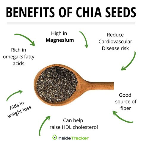Does Chia Seeds Has Fiber