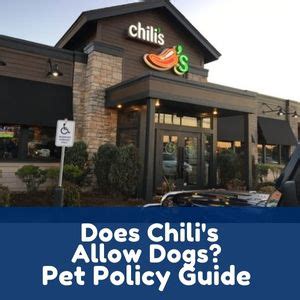 does chilis allow dogs