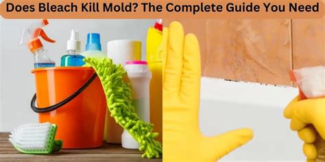 Does Chlorine Bleach Kill Black Mold