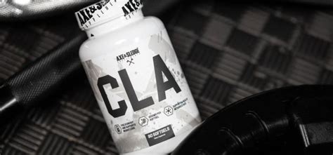 Does Cla Help Build Muscle