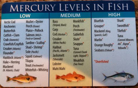 does codfish have mercury