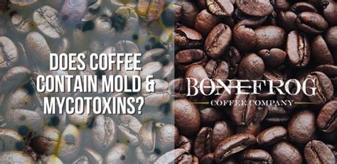does coffee contain mold