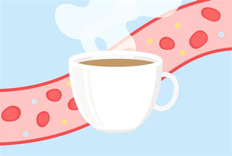 Does Coffee Increase Your Cholesterol Level