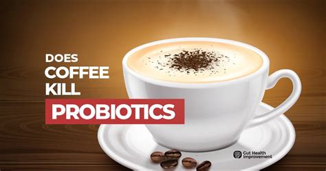 Does Coffee Kill Gut Bacteria