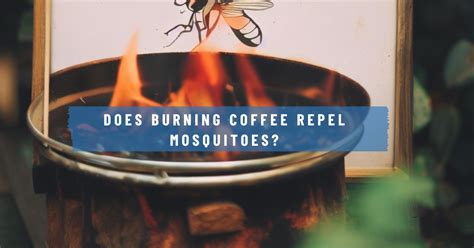 does coffee repel mosquitoes