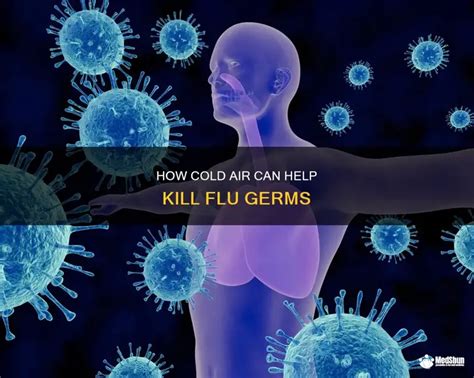 Does Cold Weather Kill Off Germs