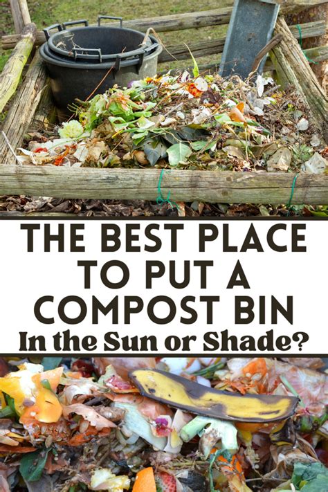 Does Compost Bin Need To Be In The Sun
