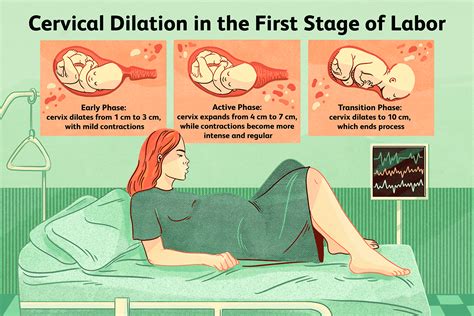 Does Contractions Mean Your Dilating
