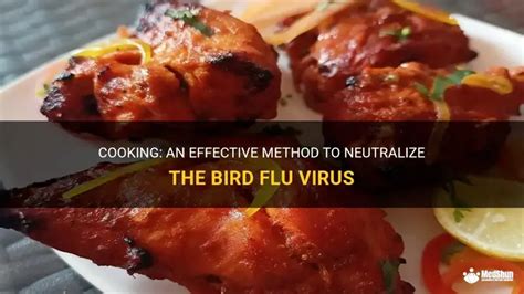 Does Cooking Destroy Bird Flu? The Truth About Safety