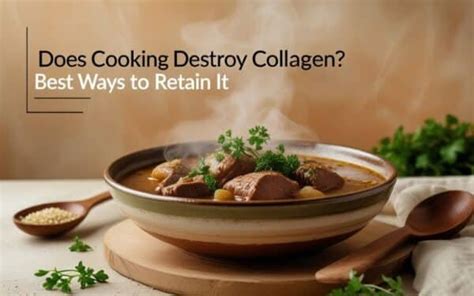Does Cooking Destroy Collagen The Truth Behind Heat Sensitivity