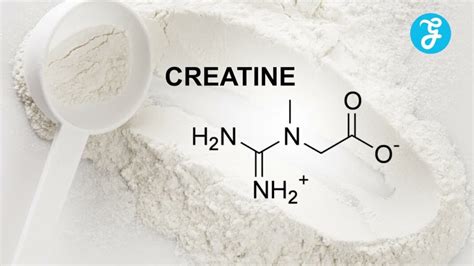 Does Cooking Destroy Creatine? The Truth About Supplements In Your Meals