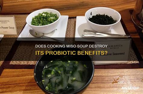 Does Cooking Destroy Probiotics