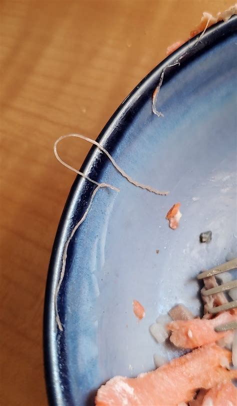 Does Cooking Actually Kill Worms In Fish?
