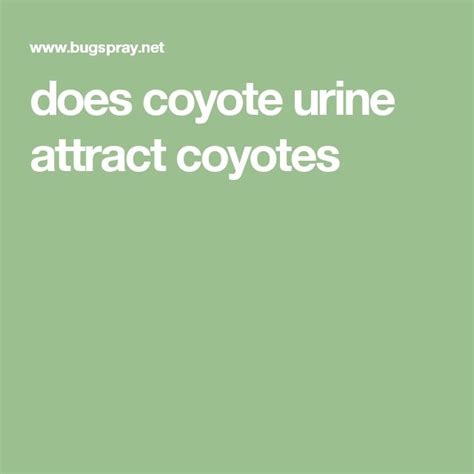 does coyote urine attract coyotes