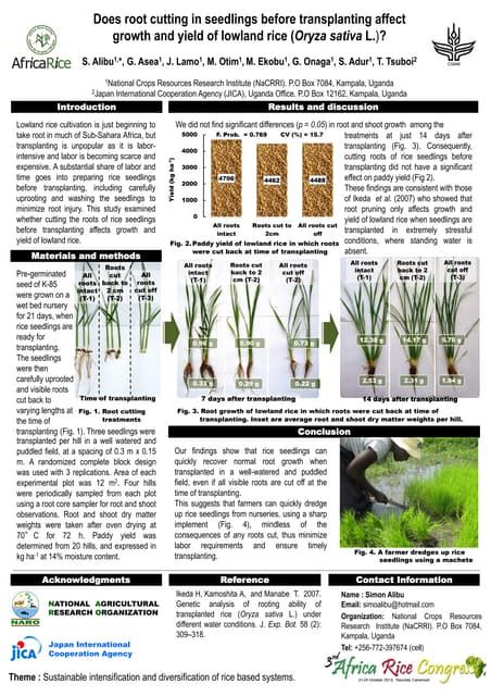 Does Cutting Affect Growth